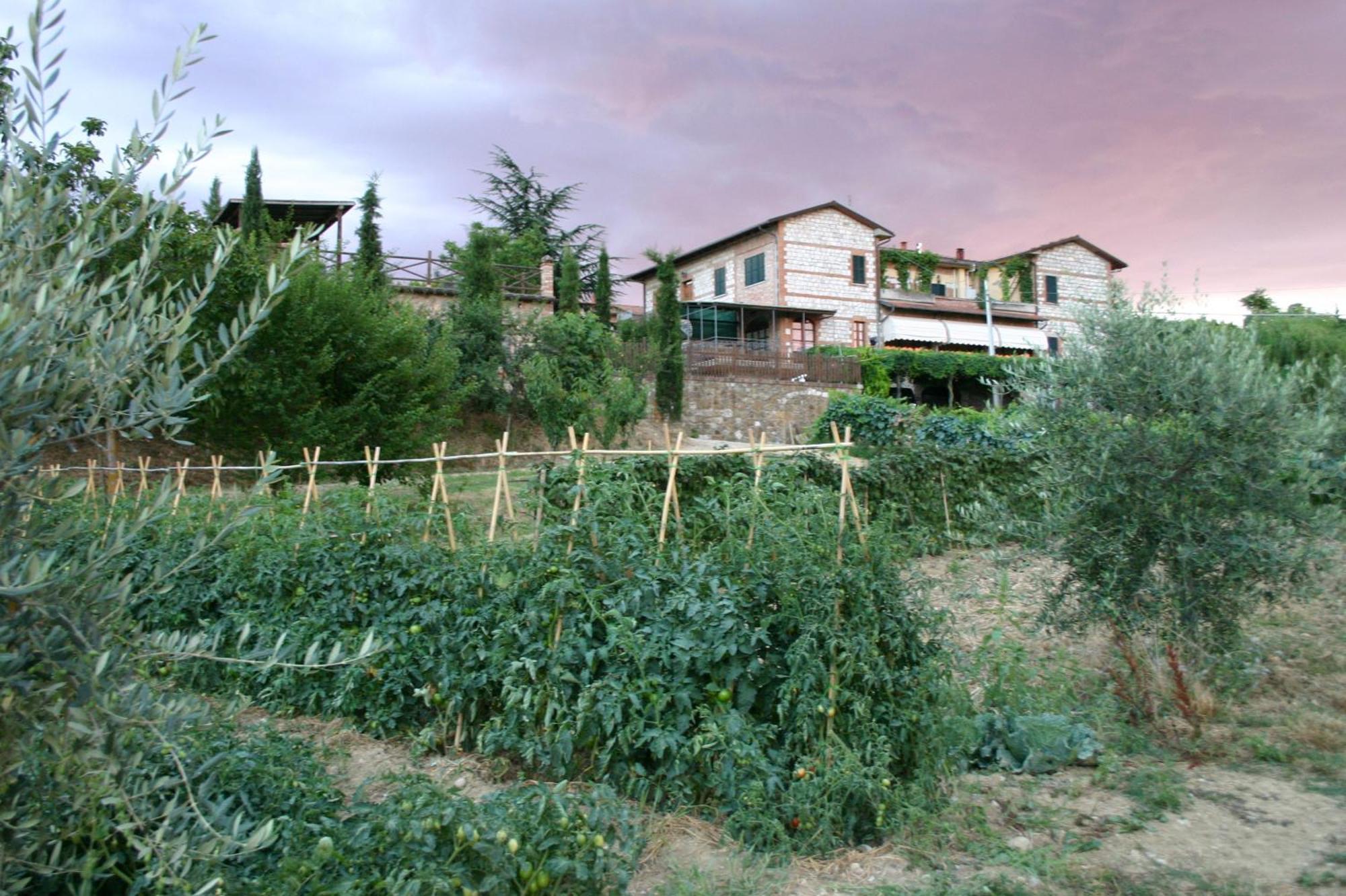 Agriturismo La Pietriccia Кианчано Терме Екстериор снимка